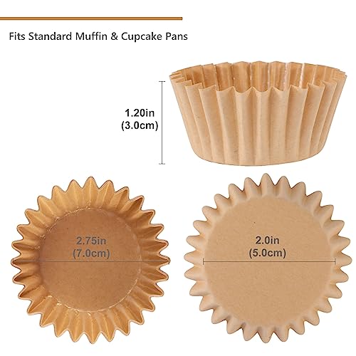 Caperci Grease-Resistant Standard Natural Cupcake Liners 150 Counts - Heavy Duty Paper Muffin Baking Cups, Odorless, No Muffin Pan Needed, Easily Peels (Natural)