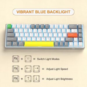 MageGee 60% Mechanical Gaming Keyboard, 68 Keys Hot-Swappable Compact Blue LED Backlit Gaming Keyboard, SKY68 Wired Ergonomic Mini Office Keyboard for Windows PC Gamer (Red Switch, Gray & White)