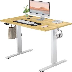smug electric standing desk with memory preset, ergonomic height adjustable table with t-shaped metal bracket modern computer workstations for home office, 4024, natural