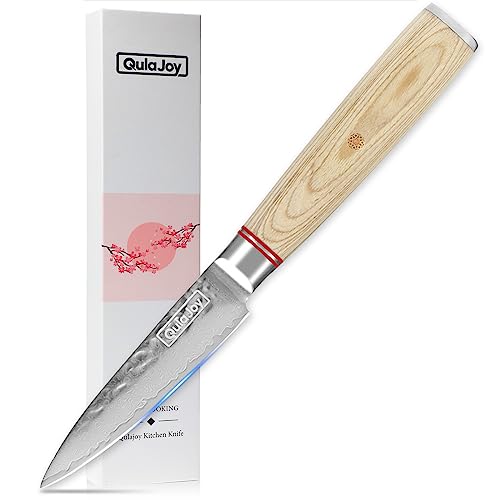 Qulajoy Paring Knife - Japanese Paring Knife with VG10 Damascus Steel, Ultra Sharp 3.5 inch Fruit and Vegetable Knife, Ergonomic Wood Handle