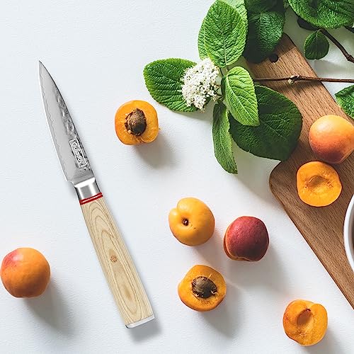 Qulajoy Paring Knife - Japanese Paring Knife with VG10 Damascus Steel, Ultra Sharp 3.5 inch Fruit and Vegetable Knife, Ergonomic Wood Handle