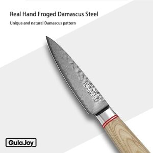 Qulajoy Paring Knife - Japanese Paring Knife with VG10 Damascus Steel, Ultra Sharp 3.5 inch Fruit and Vegetable Knife, Ergonomic Wood Handle