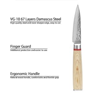 Qulajoy Paring Knife - Japanese Paring Knife with VG10 Damascus Steel, Ultra Sharp 3.5 inch Fruit and Vegetable Knife, Ergonomic Wood Handle