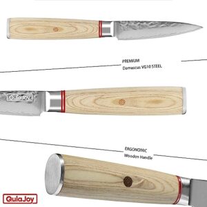 Qulajoy Paring Knife - Japanese Paring Knife with VG10 Damascus Steel, Ultra Sharp 3.5 inch Fruit and Vegetable Knife, Ergonomic Wood Handle