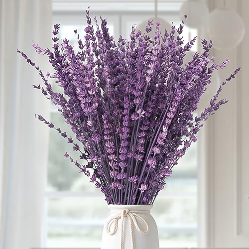 120+Stems Dried Lavender Flowers Bundle-Dried Preserved Lavender Bouquet 15-17" for Shower Weeding Home Vase Decor, Crafts, Aromatherapy, Fragrance, Fresh Silk Dry Live Plants