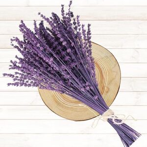 120+Stems Dried Lavender Flowers Bundle-Dried Preserved Lavender Bouquet 15-17" for Shower Weeding Home Vase Decor, Crafts, Aromatherapy, Fragrance, Fresh Silk Dry Live Plants