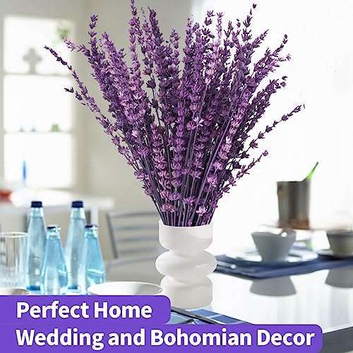 120+Stems Dried Lavender Flowers Bundle-Dried Preserved Lavender Bouquet 15-17" for Shower Weeding Home Vase Decor, Crafts, Aromatherapy, Fragrance, Fresh Silk Dry Live Plants