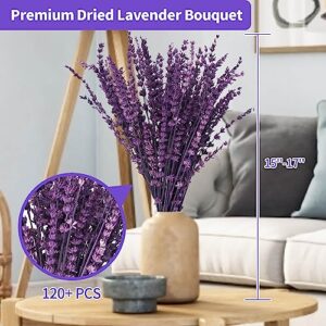 120+Stems Dried Lavender Flowers Bundle-Dried Preserved Lavender Bouquet 15-17" for Shower Weeding Home Vase Decor, Crafts, Aromatherapy, Fragrance, Fresh Silk Dry Live Plants