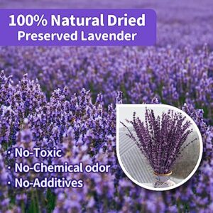 120+Stems Dried Lavender Flowers Bundle-Dried Preserved Lavender Bouquet 15-17" for Shower Weeding Home Vase Decor, Crafts, Aromatherapy, Fragrance, Fresh Silk Dry Live Plants