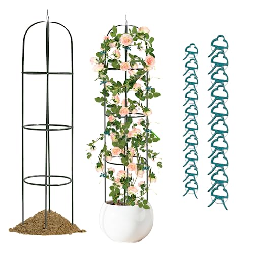 Heyfurni Metal Obelisk Trellis & Plant Clips,Garden Trellis for Climbing Plants,Plant Support for Cucumbers,Rose,Tomato,Vines,Vegetables Trellis Cage Indoor & Outdoor,40pcs Garden Clips