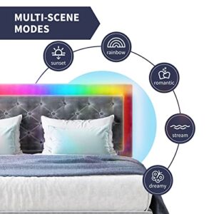 ZAFLY King Size Bed Frame, Velveteen RGB LED Bed Frame with Adjustable Headboard, Upholstered Mattress Frame with Button Tufted Headboard for Bedroom Light Gray