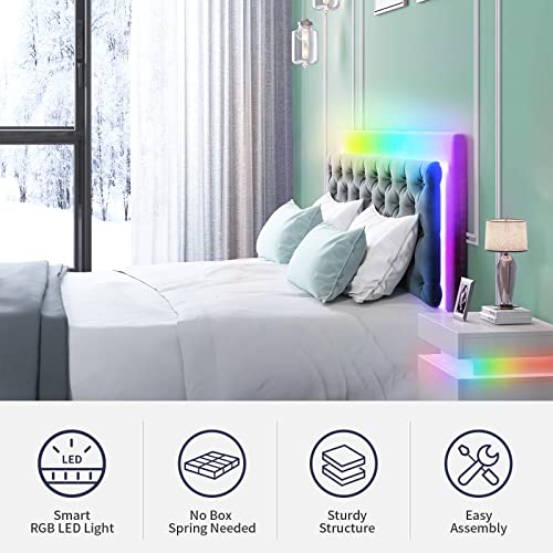 ZAFLY King Size Bed Frame, Velveteen RGB LED Bed Frame with Adjustable Headboard, Upholstered Mattress Frame with Button Tufted Headboard for Bedroom Light Gray