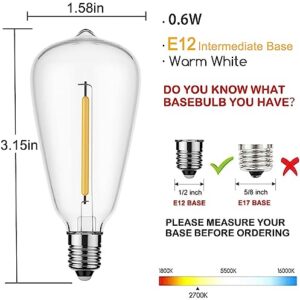 25 Pack Edison LED Light Bulbs, 0.6 watt E12 Screw Base Replacement Bulbs, LED Shatterproof Bulbs ST38 Clear Plastic Light Bulbs for Outdoor Patio ST38 String Lights, Warm White