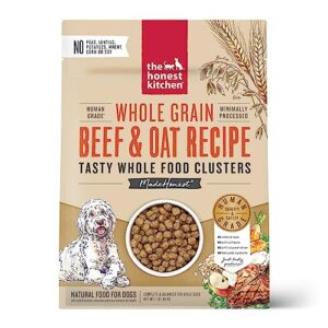 The Honest Kitchen Whole Food Clusters Whole Grain Beef & Oat Dry Dog Food, 1 lb Bag