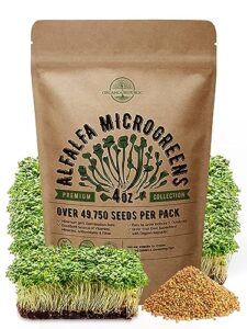 alfalfa sprouting & microgreens seeds - non-gmo, heirloom seeds kit in bulk 4oz resealable bag for planting & growing microgreens in soil, coconut coir, garden, sprouting tray, hydroponic system