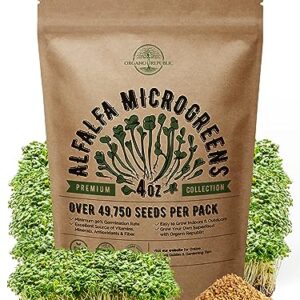 Alfalfa Sprouting & Microgreens Seeds - Non-GMO, Heirloom Seeds Kit in Bulk 4oz Resealable Bag for Planting & Growing Microgreens in Soil, Coconut Coir, Garden, Sprouting Tray, Hydroponic System