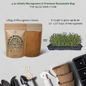 Alfalfa Sprouting & Microgreens Seeds - Non-GMO, Heirloom Seeds Kit in Bulk 4oz Resealable Bag for Planting & Growing Microgreens in Soil, Coconut Coir, Garden, Sprouting Tray, Hydroponic System