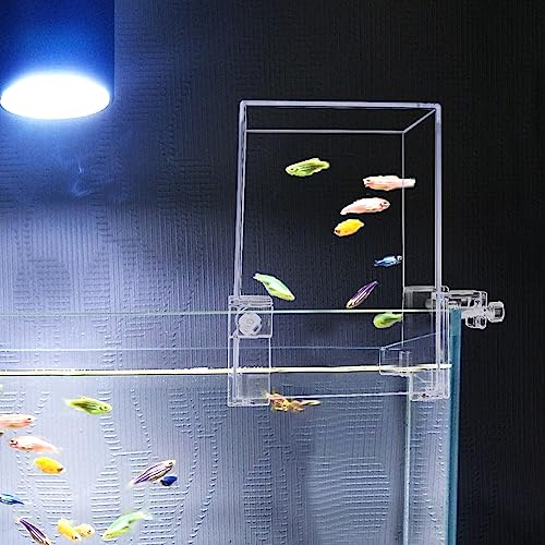 NANEEZOO Negative Pressure Fish Tank, Fish Elevator Inverted Aquarium Vacuum Fish Tower Expanded Swim Area Aquarium Decoration, Vacuum Suspended Fish Tank