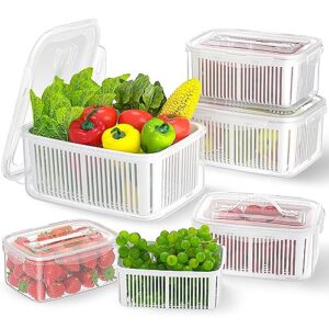 fruit storage containers for fridge - 10-piece kitchen organizers leak proof produce saver and veggie storage bins set for refrigerator, plastic airtight food storage containers with lids & handle