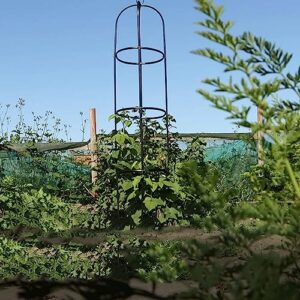 Garden Obelisk,18.5 * 2.9M, for Climbing Plant Obelisk, Garden Trellis for Roses, Climbing Plants Support Structure,Plant Cage