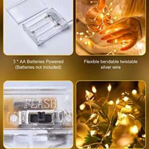 Fairy Lights Battery Operated, Twinkle String Lights Waterproof Silver Wire 5 Feet 60 Led Firecracker Starry Lights for DIY Wreath Home Wedding Party Bedroom Mason Jar Holiday Christmas, Warm White