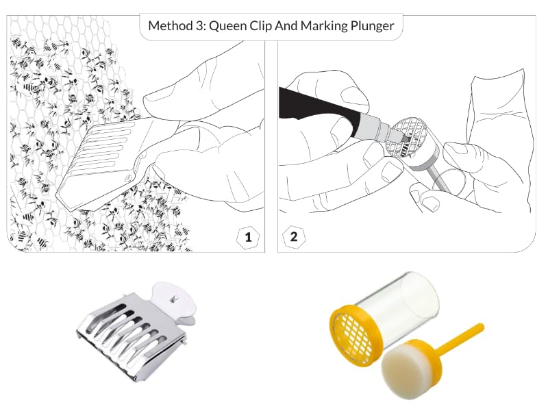 Queen Bee Marking Kit - Includes 5 Posca Marking Pens, One Handed Queen Catcher, Stainless Steel Queen Clip, Marking Plunger and Push Catcher