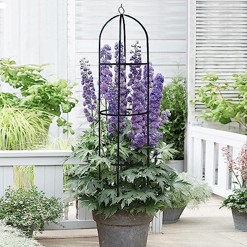 Garden Trellis Obelisk,Black Metal Tower Obelisk Trellis,for Climbing Plants Rustproof,Flower Stand Rose Trellis Vegetable