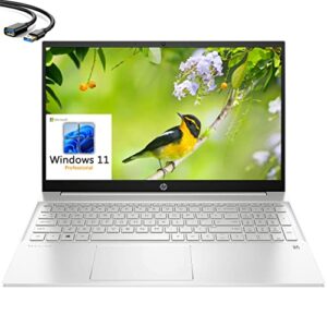 hp 2023 pavilion 15 15.6" fhd business laptop, 12th gen intel 10 cores i7-1255u, 32gb ddr4 ram, 1tb pcie ssd, wifi 6, bluetooth 5.2, webcam, natural silver, windows 11 pro, ipuzzl extension cable