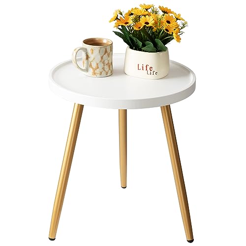 danpinera Round Side Table, Metal Legged Accent Table with Wooden Tray, Small Round End Table for Living Room, Bedroom, Nursery, White & Gold