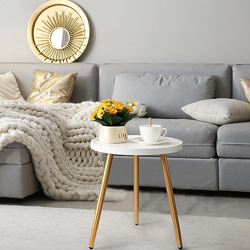 danpinera Round Side Table, Metal Legged Accent Table with Wooden Tray, Small Round End Table for Living Room, Bedroom, Nursery, White & Gold