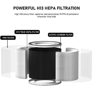 A1/A1W HEPA Filter Replacement Compatible with TCL BREEVA A1/A1W Air Purifier, Compare to Part # Breeva A1F (Not Compatible with TCL Breeva A1C/A2/A3/A5), 2 Pack