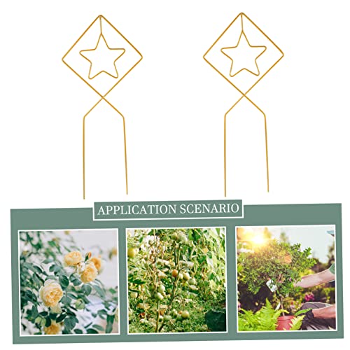 YARNOW 2pcs Flower Stand Rose Vines Plants for Outside Gold Stand Plant Climbing Frame House Plants Indoors Live Garden Metal Trellis Golden Metal Plant Climbing Supports Vine Trellis