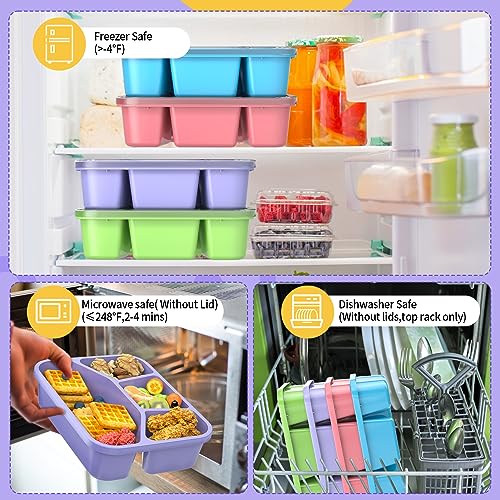 RGNEIN Bento Lunch Box and Snack Containers - 4 Compartments, Durable and Safe Lunch Containers for Adults Kids with Transparent Lid, Microwave Safe, BPA free - Set of 4 (PP (Green/Blue/Pink/Beige))