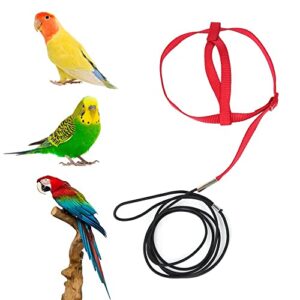 Bird Harness Leash, Parrot Training Harness Cockatiel Traction Rope for Parakeets, Macaws, Parrots, Love Birds