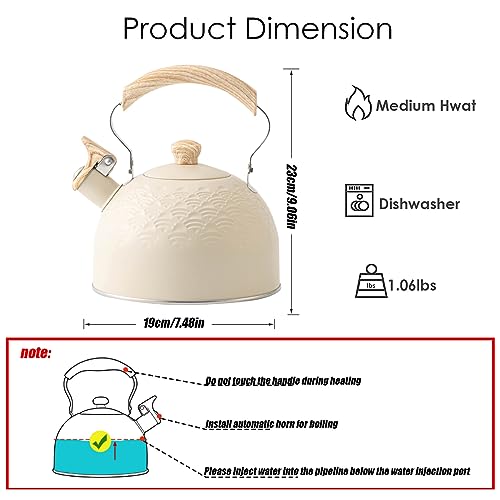 2.5L Stainless Steel Tea Kettle Teapot with Foldable Anti-Heat Handle,for Gas Hobs, Induction and Electric Hobs▂19 * 23cm/7.48"*9.06"