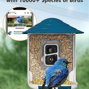 Dzees Security Camera Outdoor Wireless - Battery Powered WiFi Outdoor Camera Wireless, Smart Bird Feeder with Camera, AI Identify Bird Species, Auto Capture Bird Videos