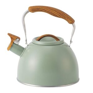 3L Whistling Tea Kettle for Stove Top,Teapot for Stovetop, Wooden Handle for Cool Toch▂20 * 23.5cm/7.78"*9.25"