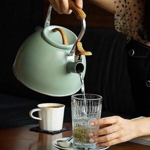 3L Whistling Tea Kettle for Stove Top,Teapot for Stovetop, Wooden Handle for Cool Toch▂20 * 23.5cm/7.78"*9.25"