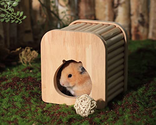 MPMLMF Hamster Sleeping House Hideout& Hamster Wood, Hamster Toys with Climbing Ladder, Hamster Accessories for Hamsters Gerbils Hedgehog or Similar-Sized Pets (Rectangle—Shaped)