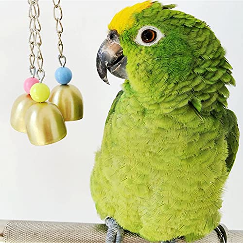 Digital Ornament B^ite Parrot Greys Toy Hanging Lovebird Cage Pet Bells Toy Parakeet Budgie Bird Decoration & Hangs Mini Raiders Football Ornament