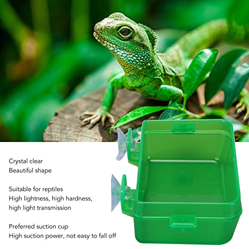 Zerodis Suction Cup Reptile Feeder, Green Wall Reptile Feeder Gecko Lizard Escape Proof Food Water Bowl (S)