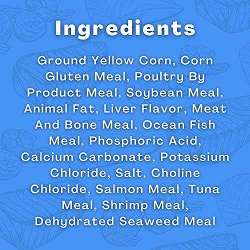 Friskies Dry Cat Food Seafood Sensations Bundle | Includes 2 Bags of Friskies Dry Cat Food Salmon, Tuna, and Shrimp Flavors (3.15 LB) | Plus Paw Food Scoop!