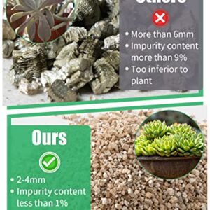 Organic Vermiculite Bulk, Horticultural Vermiculite for Plants, Soil Additive for Potted Plants, Vermiculite Coarse Hydroponic for Succulent Orchid Gardening Reptiles 3Qt