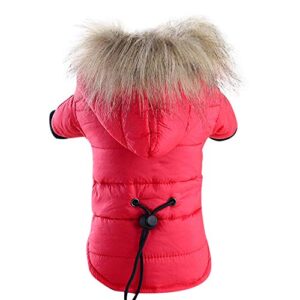 girl puppy clothes pet dog warm down cotton-padded jacket costume puppy winter clothe hoodie coats