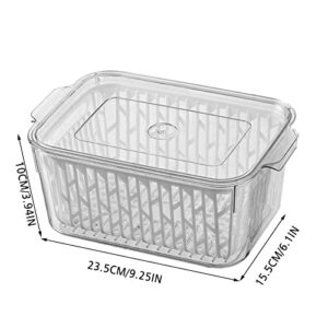 Food Container Organizer Refrigerator Storage Box Vegetable And Fruit Draining Fresh Keeping Box Food Grade Sealed Storage Box Egg Storage Finishing Box Prep Meal Containers