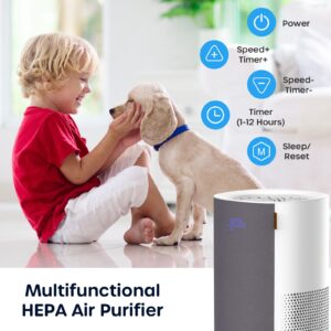 ECOWELL Air Purifiers for Bedroom, H13 HEPA Air Purifiers for Home Office Living Room, Air Filter Air Cleaner for Pet Dander Odors Smoke Pollen Dust, Small Air Purifier with 28dB Sleep Mode, EAP050