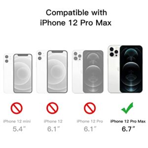 JETech Case for iPhone 12 Pro Max 6.7-Inch with 2-Pack Tempered Glass Screen Protector, 360 Full Body Shockproof Bumper Phone Cover Protective Clear Back (Clear)