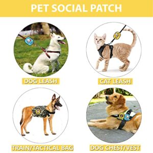GinzaLand Pet Social Reminder Warning Tick Vest Patches for Serviece Dog Therapy Dog, Removable Sew On Patch Towing Rope Label Sticker for Dog Harness/Leash/Vest (DO NOT Feed)
