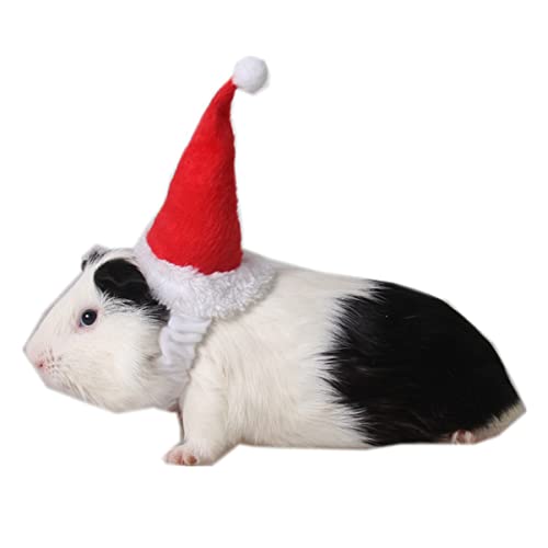 Balacoo Hats Dragon Holiday Hamster Year New Costume Santa Bearded Merry Plush Caps Grooming Winter Xmas Outfits Christmas Hair Cap Red Squirrel Chinchilla Hat Hedgehog Guinea-Pig