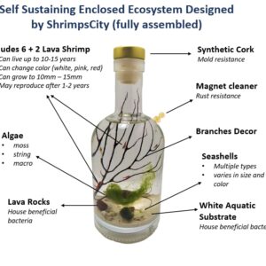 Enclosed Ecosystem Shrimps Bottle